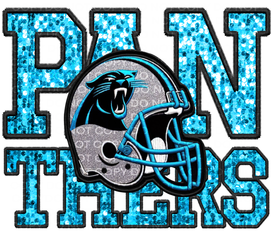 DTF Transfer • Carolina Football • Sequin Letters & Helmet